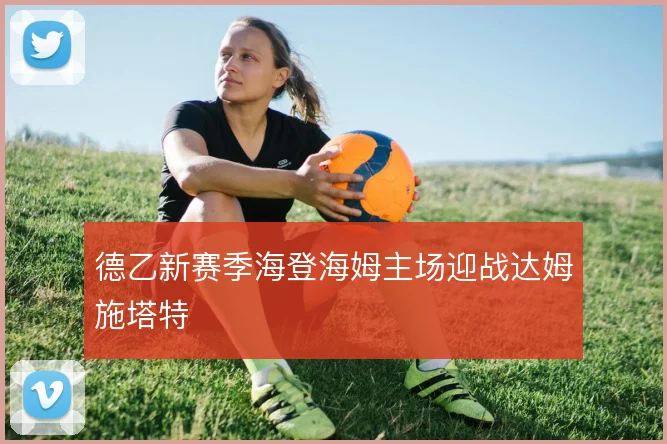德乙新赛季海登海姆主场迎战达姆施塔特