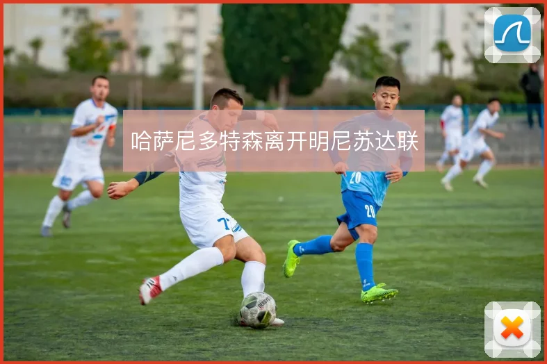 哈萨尼多特森离开明尼苏达联